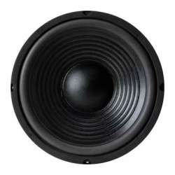 WOOFER 10" PARA HIFI GRS