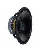 WOOFER DE 15 PULGADAS