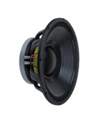 SUBWOOFER DE 15 PULGADAS